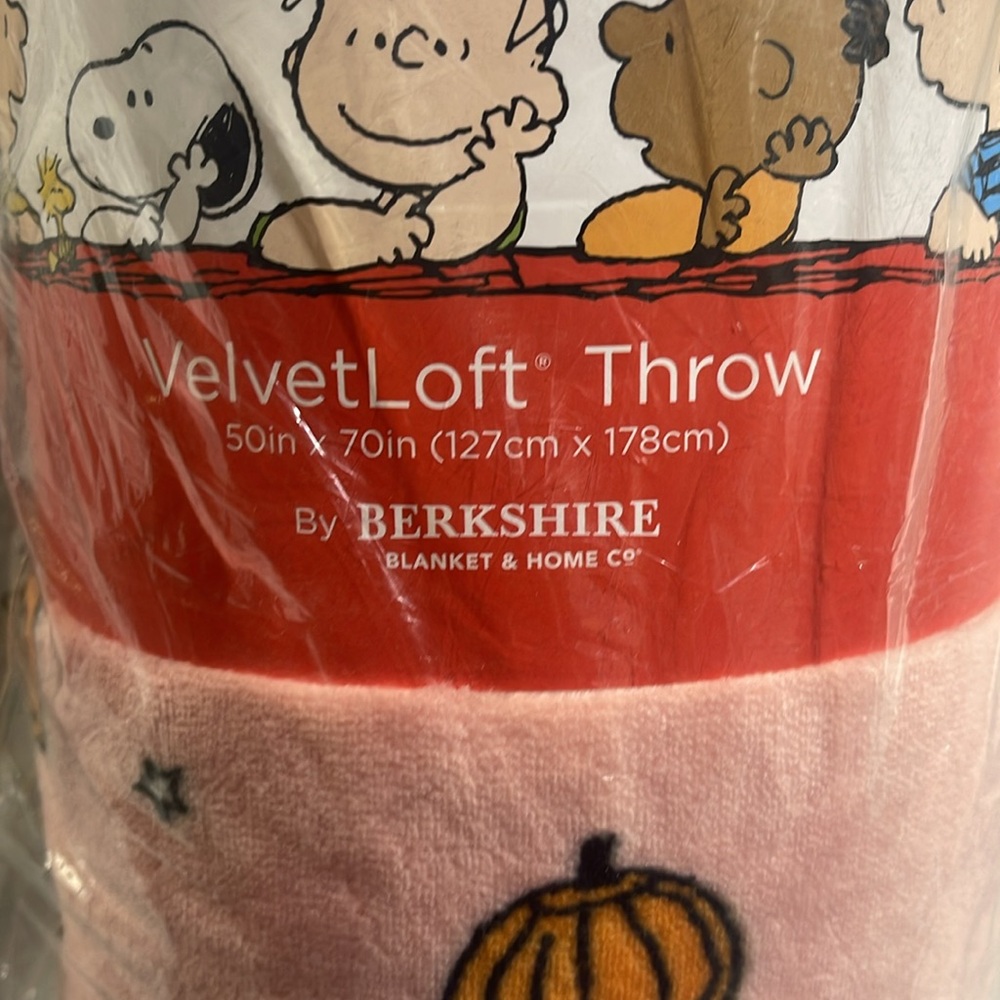 Peanuts VelvetLoft Throw - Picture 2 of 3